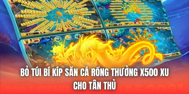 Bỏ túi bí kíp săn cá rồng thưởng x500 xu cho tân thủ