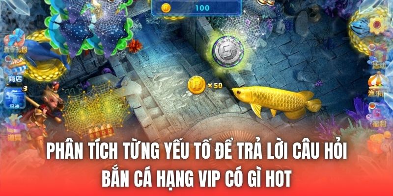 Phân tích từng yếu tố để trả lời câu hỏi bắn cá hạng VIP có gì hot